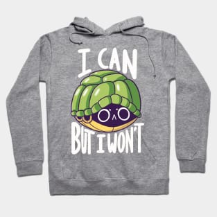 I can but I won't Hoodie